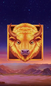 Buffalo's Sun 2